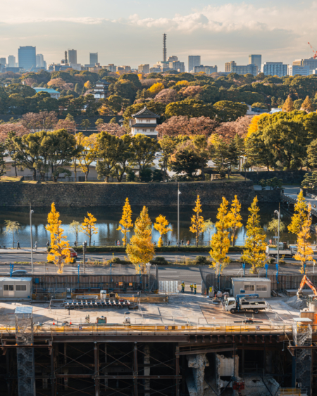 グランプリ「千代田に重ねる紅葉の記憶」（入選者：sampoholix）